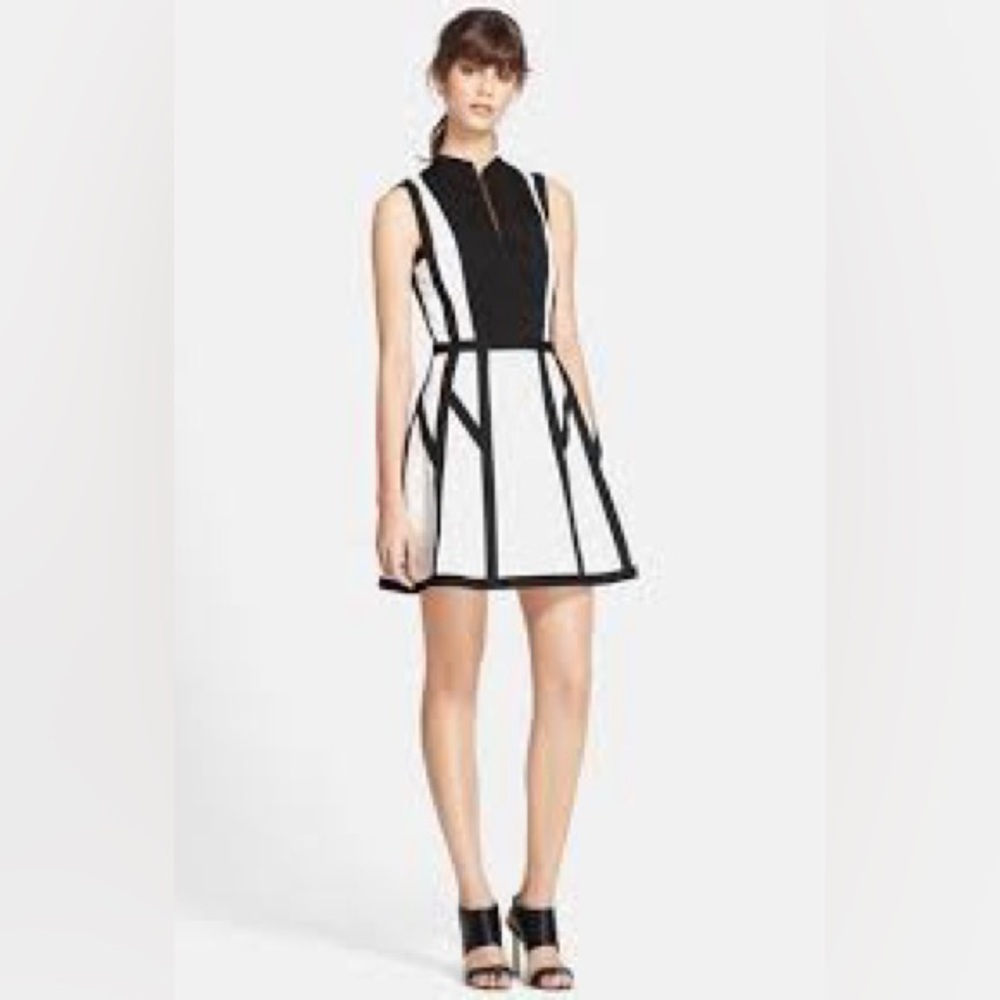 Robert Rodriguez, size 6, Graphic Spear Fit & Flare, Black & White Dress, EUC - Picture 2 of 7